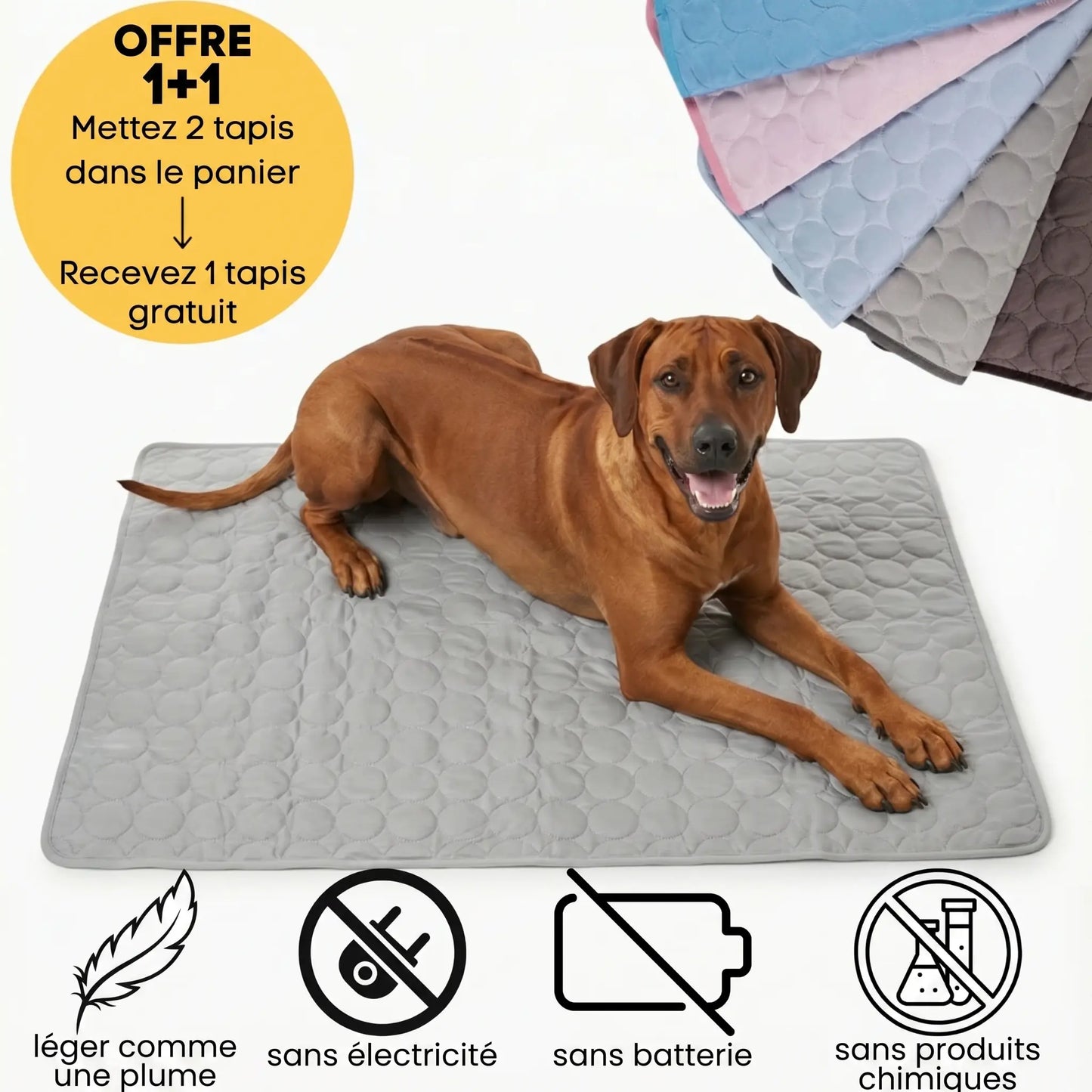 Tapis rafraichissant premium pour chien - Offre 1+1 CANICULE
