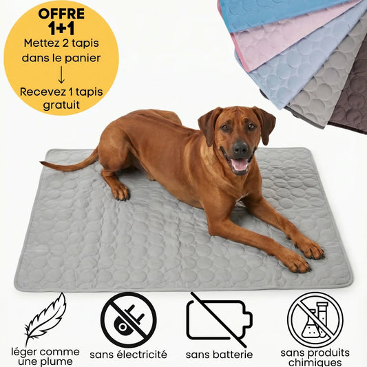 Tapis rafraichissant premium pour chien - Offre 1+1 CANICULE
